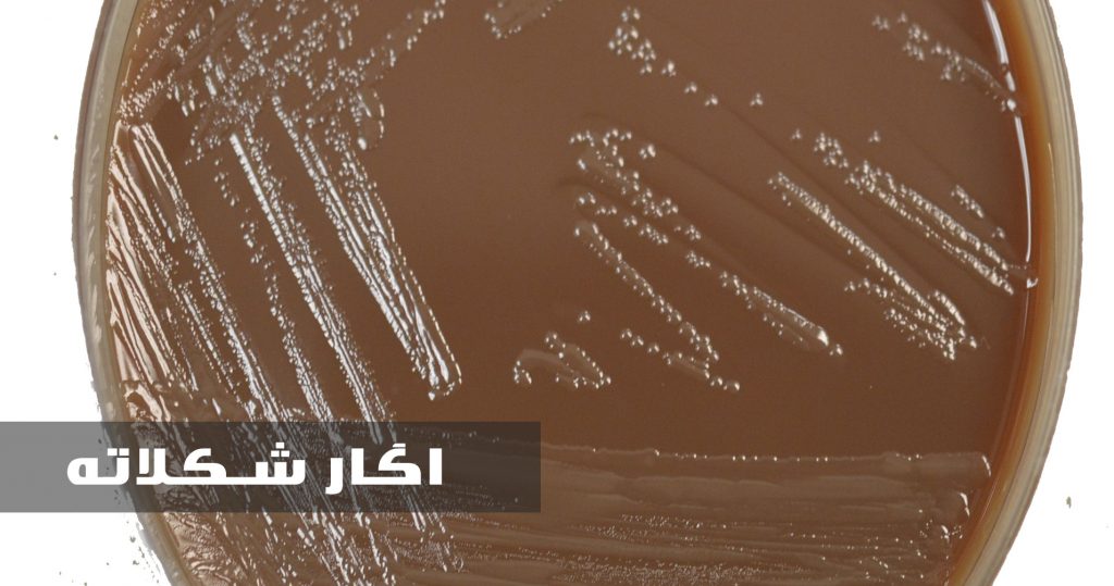 آگار شکلاته - شکلاته آگار