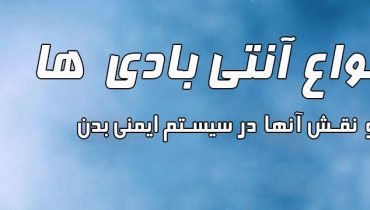 آنواع آنتی بادی ها | خرید آنتی بادی |آنتی بادی چیست